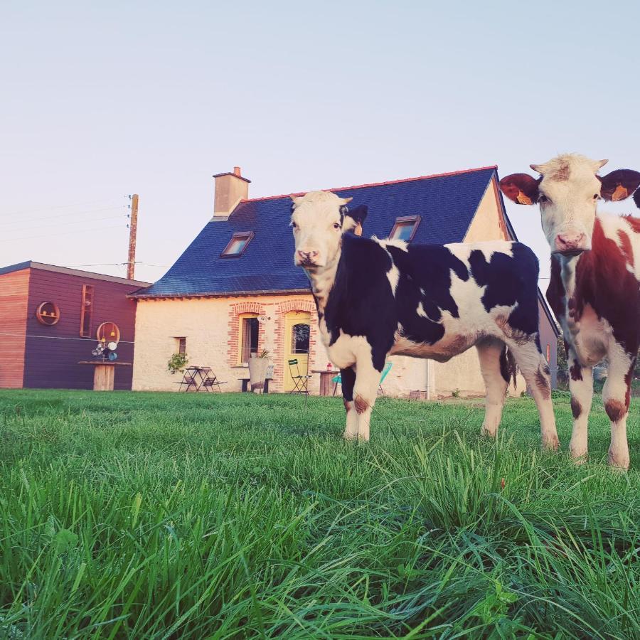 D'hotes De Charme - Cosy - La Cle Des Champs - A La Campagne *
