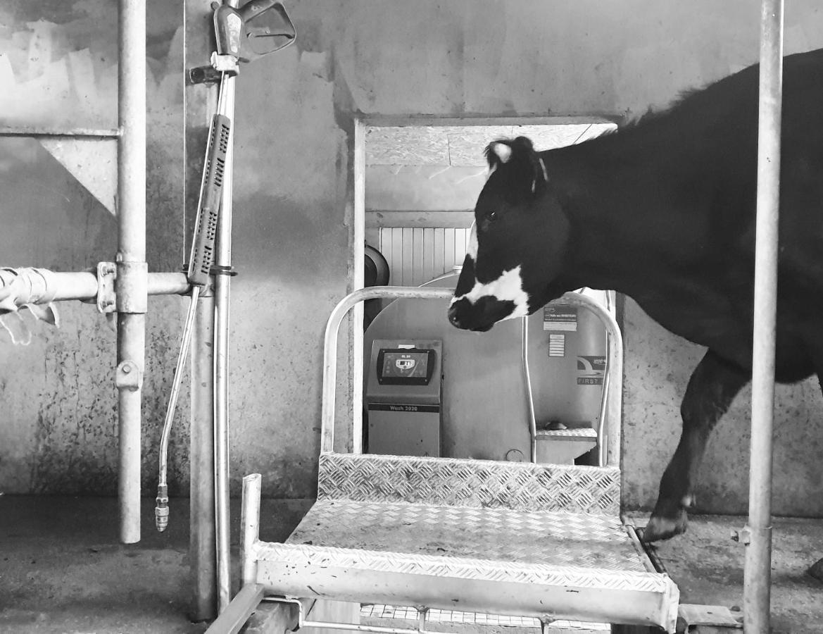 D'hotes De Charme - Cosy - La Cle Des Champs - A La Campagne * Martigne-Ferchaud
